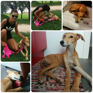 PhotoGrid_1411216645896